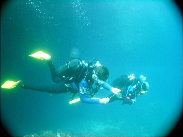  Descubriendo las Maravillas del Mar 